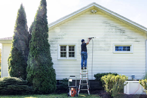 Reliable New Baden, IL Pressure Washing Services Solutions