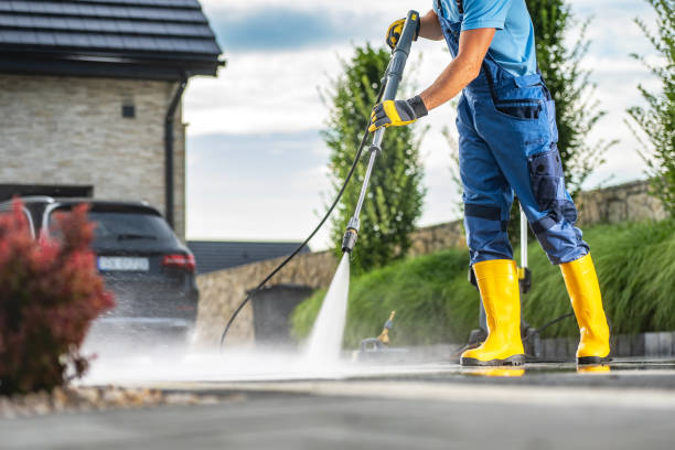 Animal Enclosure Cleaning in New Baden, IL